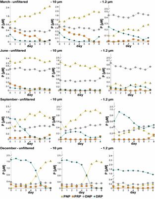 Bioavailability of Various Phosphorus Fractions and Their Seasonality in a Eutrophic Estuary in the Southern Baltic Sea – A Laboratory Approach